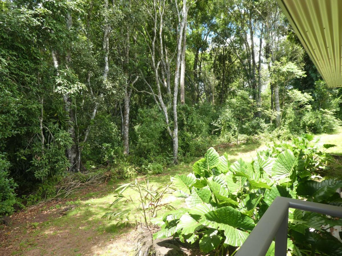 The Summit Rainforest Retreat เอเธอร์ตัน ภายนอก รูปภาพ